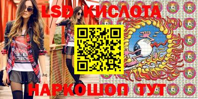 шишки Кингисепп