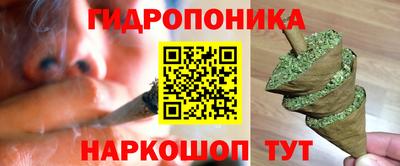 индика Конаково