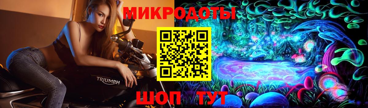 Галлюциногенные грибы Psilocybe  Вход с VPN  Кольчугино  цены наркотик  Псилоцибиновые грибы Magic Shrooms 