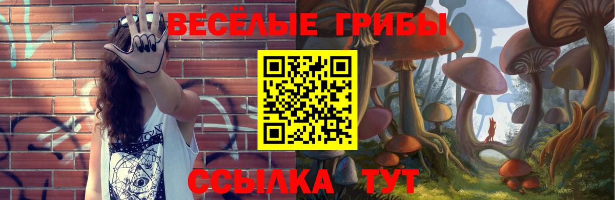 Псилоцибиновые грибы GOLDEN TEACHER Кольчугино